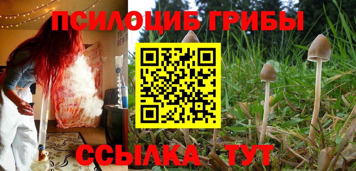 наркошоп  Вход с VPN  Киреевск  Галлюциногенные грибы ЛСД 
