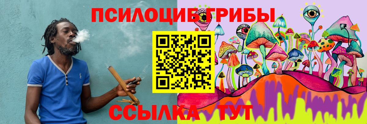 Псилоцибиновые грибы мицелий Киреевск